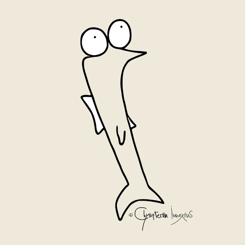 Plötzfisch © Chyropterum Innoxius