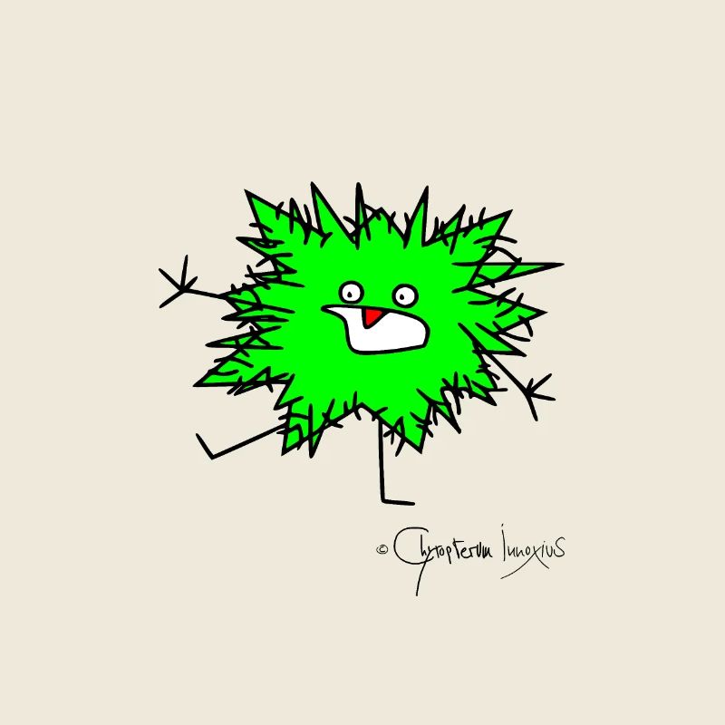 L'animal moelleux panique © Chyropterum Innoxius