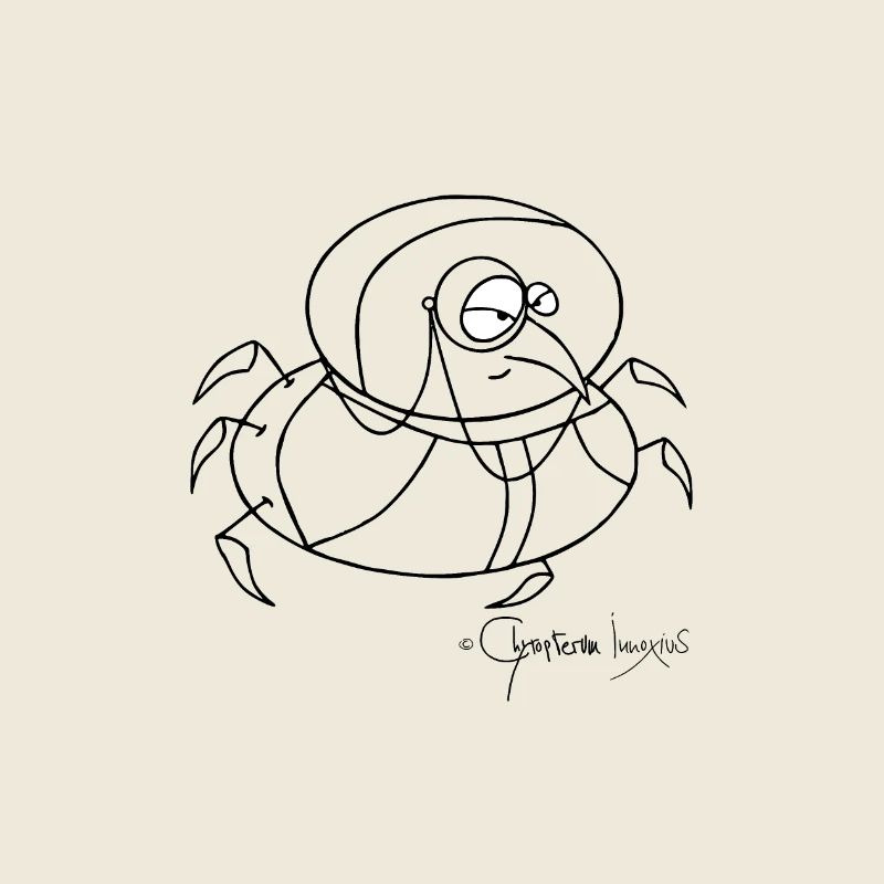 Monokelkäfer - Coleopter Monoculus