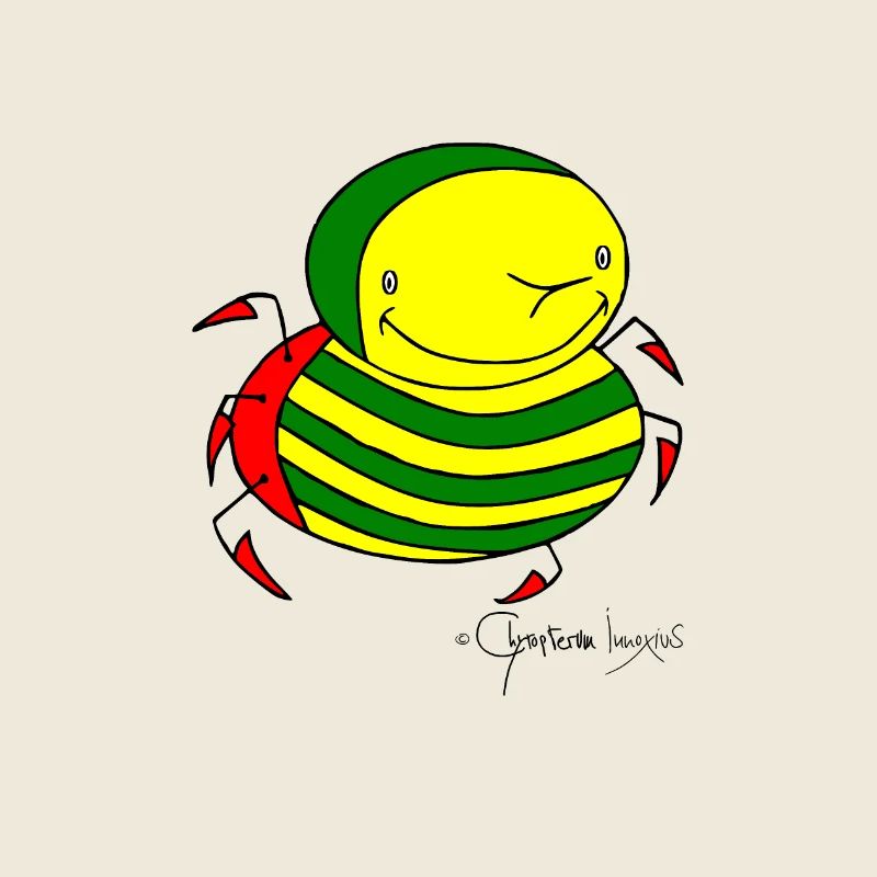 Stachelkäfer © Chyropterum Innoxius