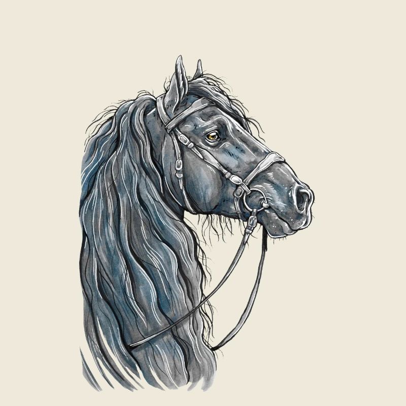 Horse Portrait