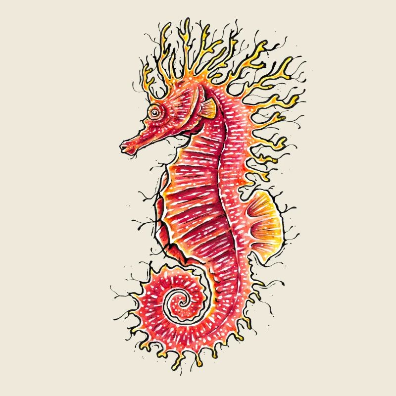 Hippocampe