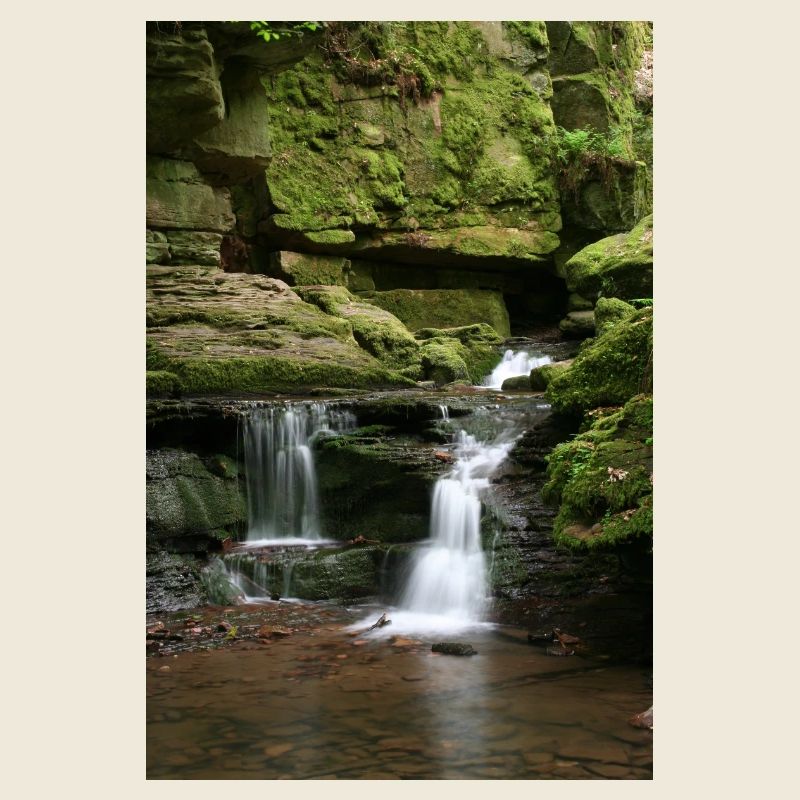 Black Forest Monbach