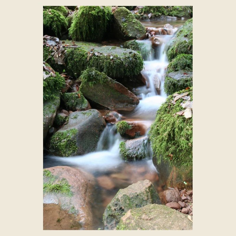 WALDBACH NAGOLDTAL