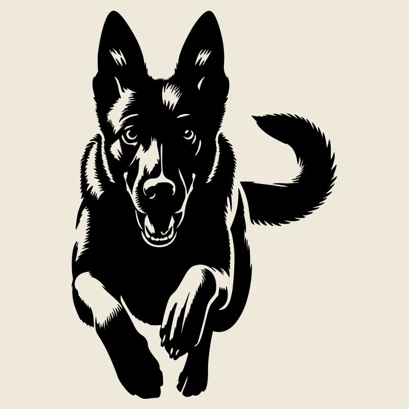 Malinois
