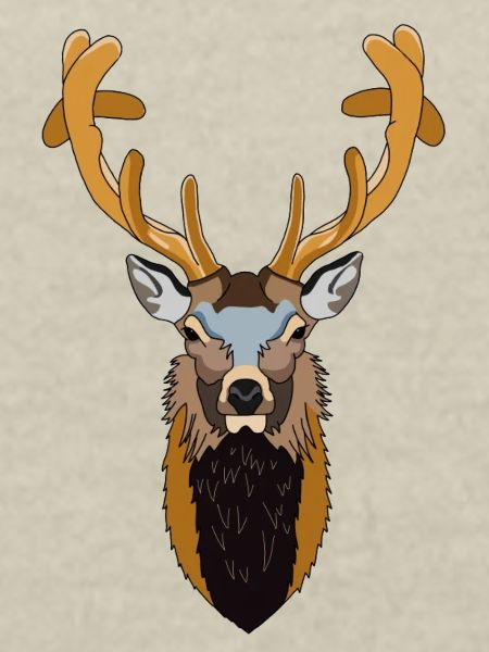 Deer