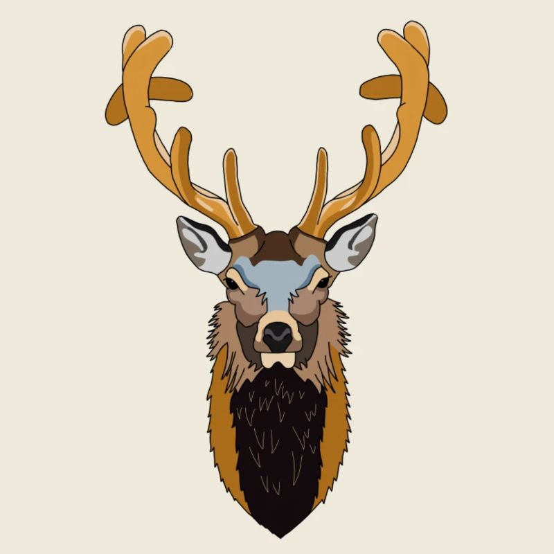 Hirsch