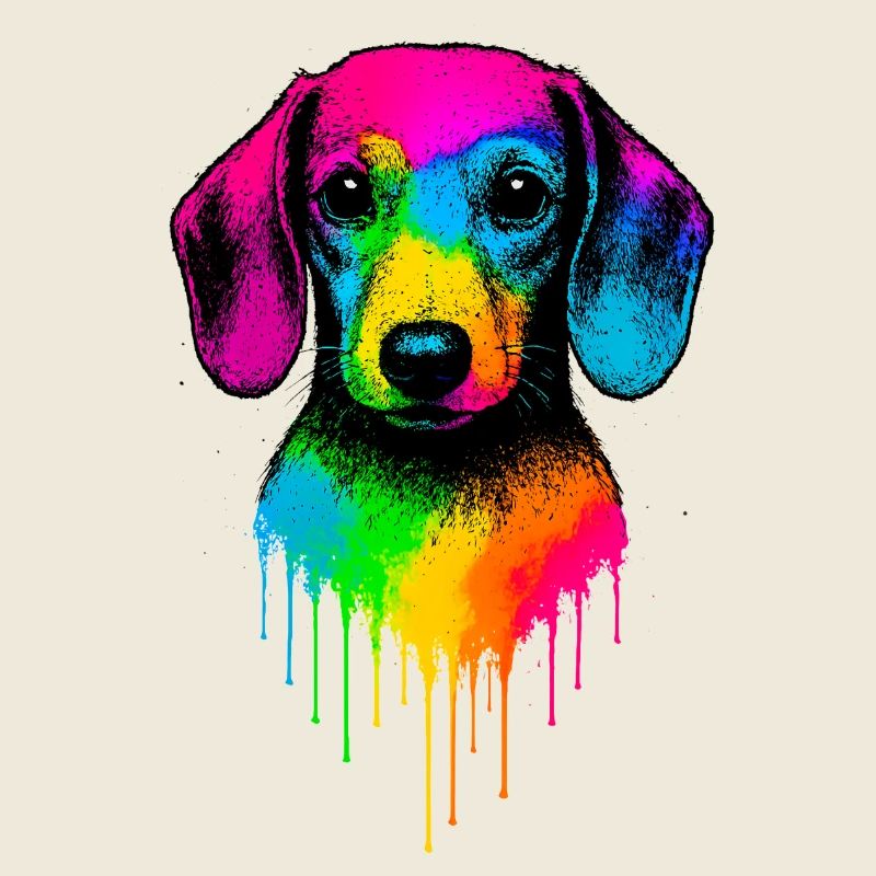 Regenbogen Dackel Tropfenkunst