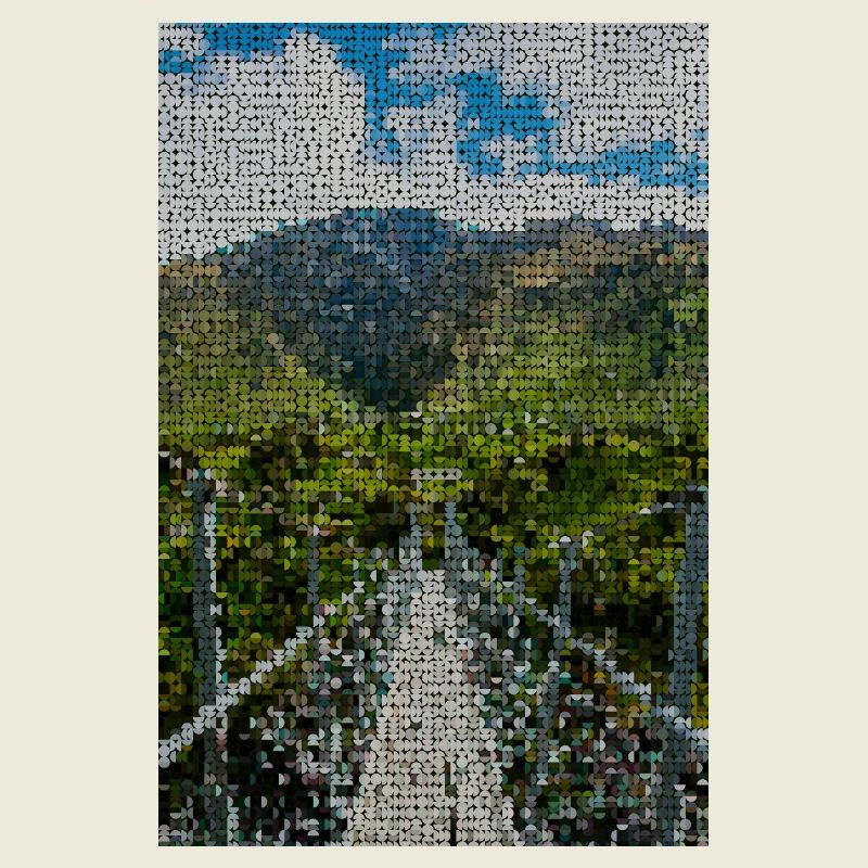 Chemin à travers un paysage de montagne verdoyant