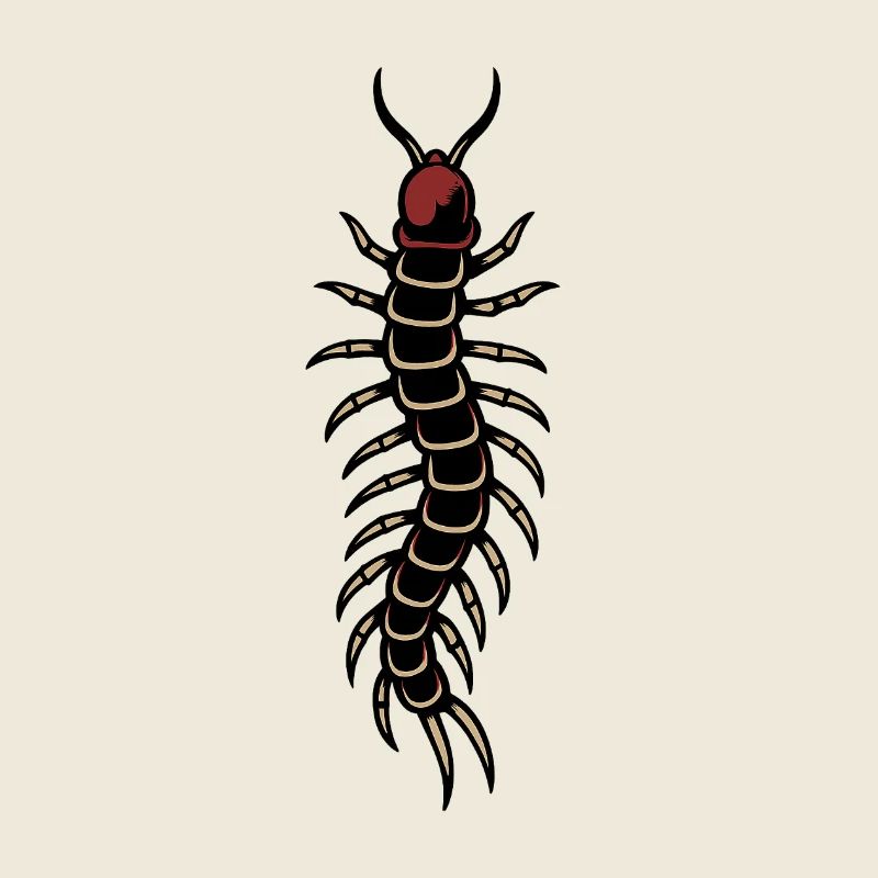 Centipede