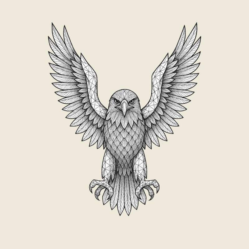 Geometric Owl with Wings