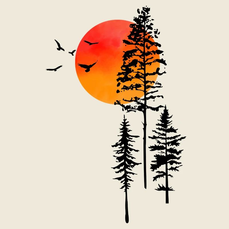 Lever du soleil et forêt 
