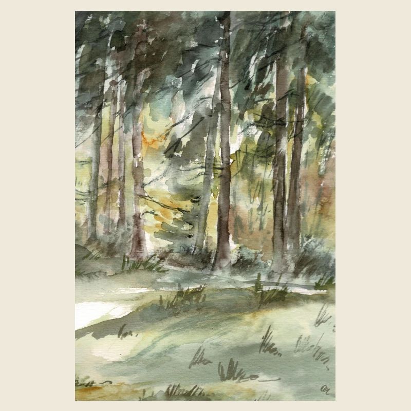 Waldlicht Im Aquarellwald