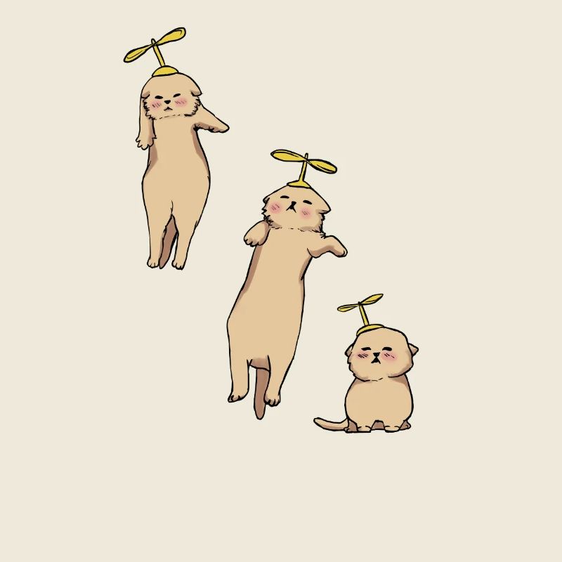 Kittens Helicopter