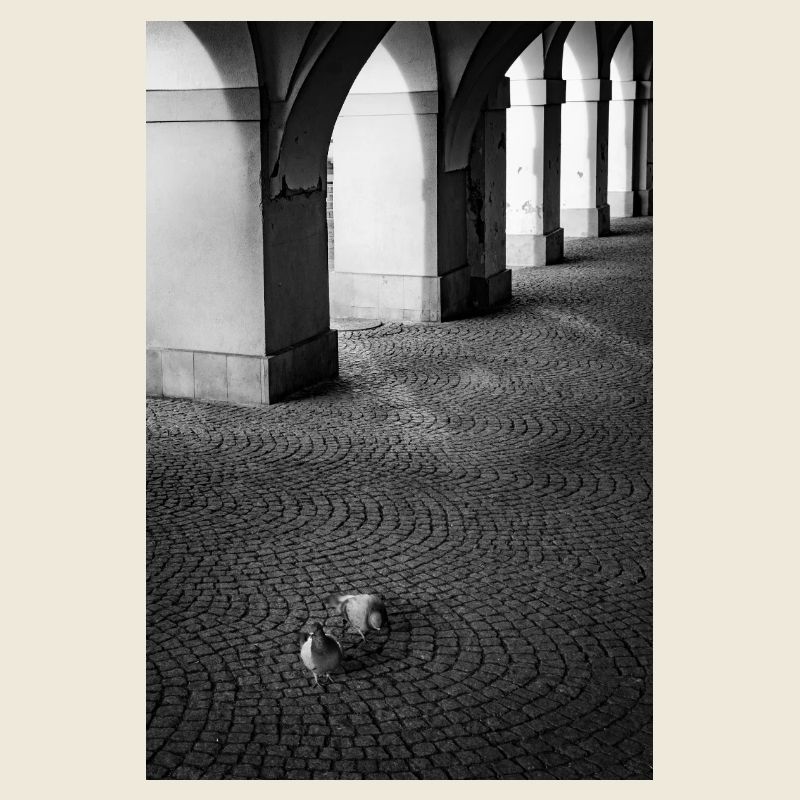 Ombres des arcs et des pigeons