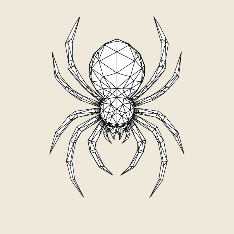 Dessin géométrique d’araignée