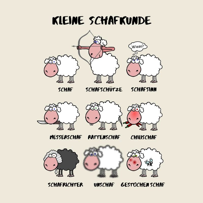 Kleine Schafkunde