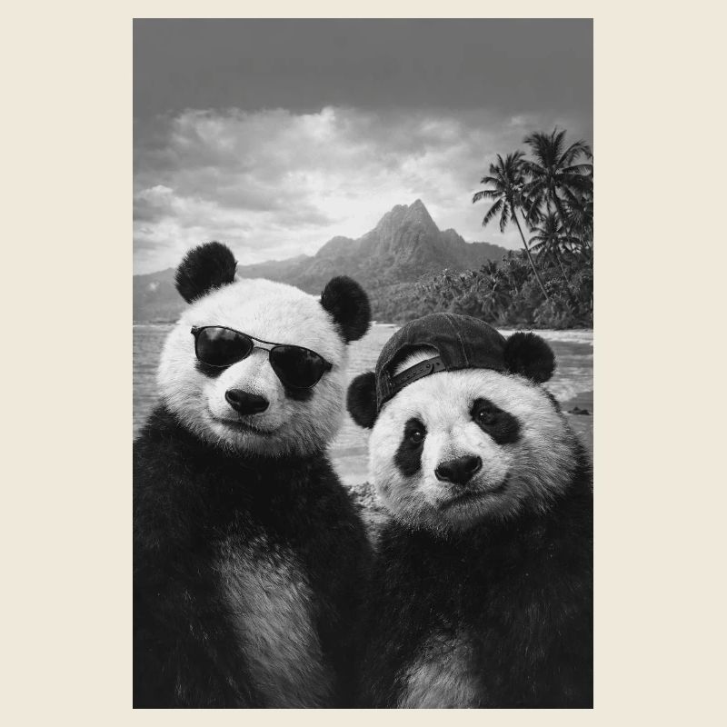 Duo de pandas sur la plage avec des lunettes de soleil