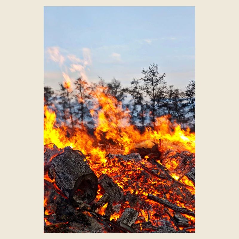 Flame Inferno Easter Fire Motif Poster