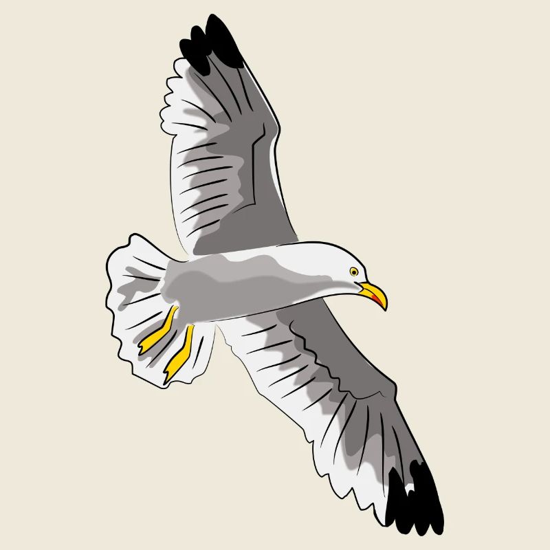 fliegende möwe vogel urlaub