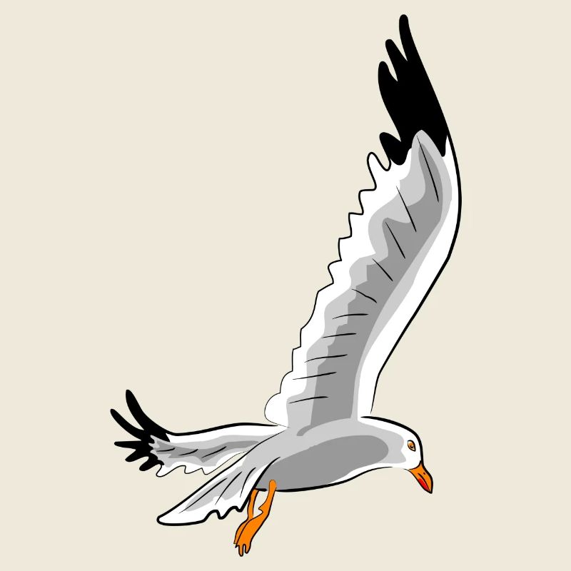 mouette