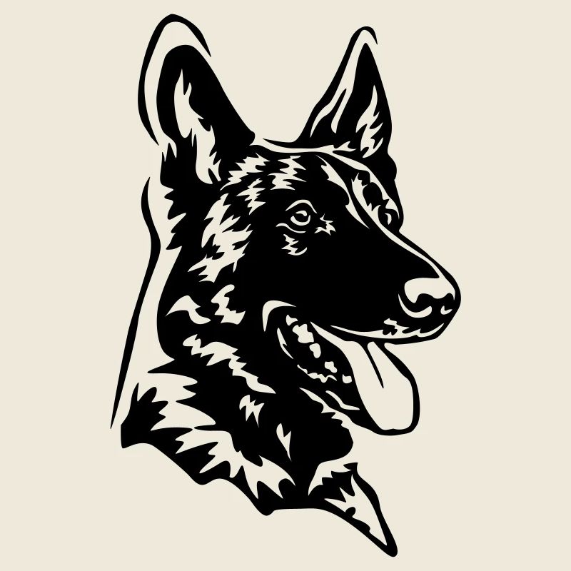 Tête de Malinois