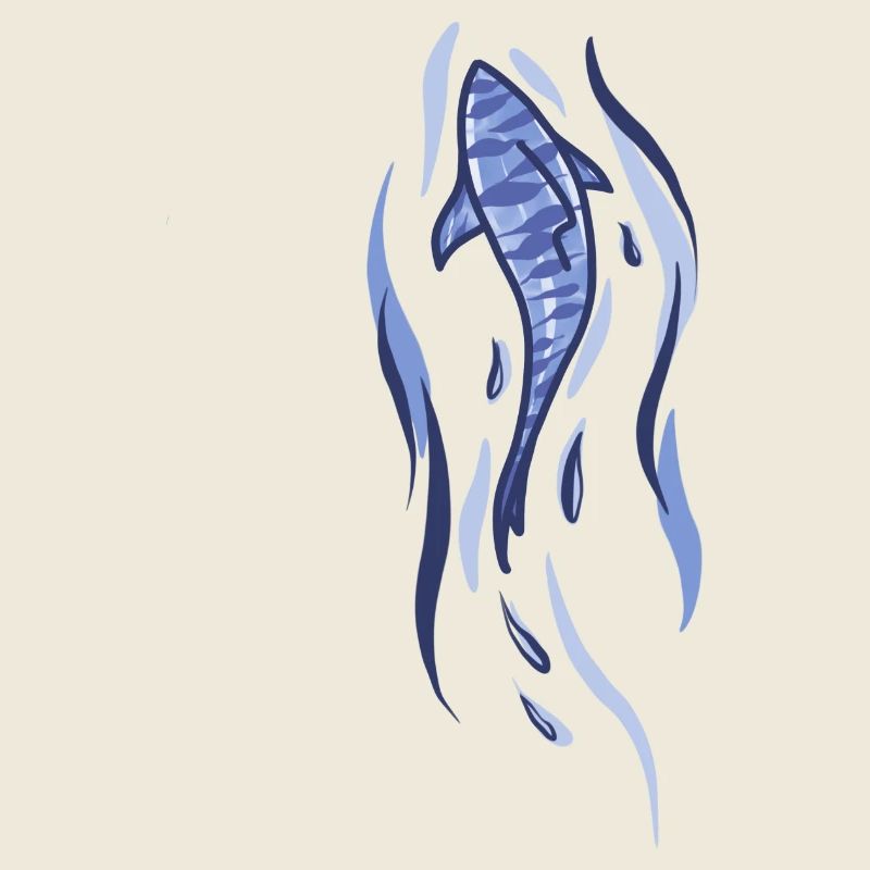Illustration de requin