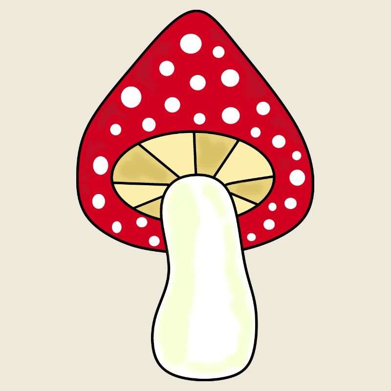 Toadstool, mushroom in the woods gift