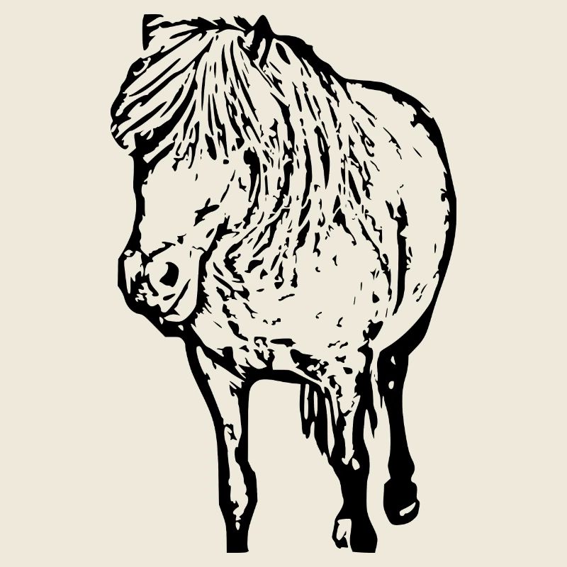 Pferde T-shirt Geschenk Reiter 