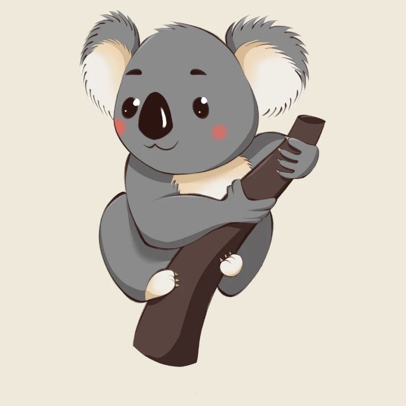Koala