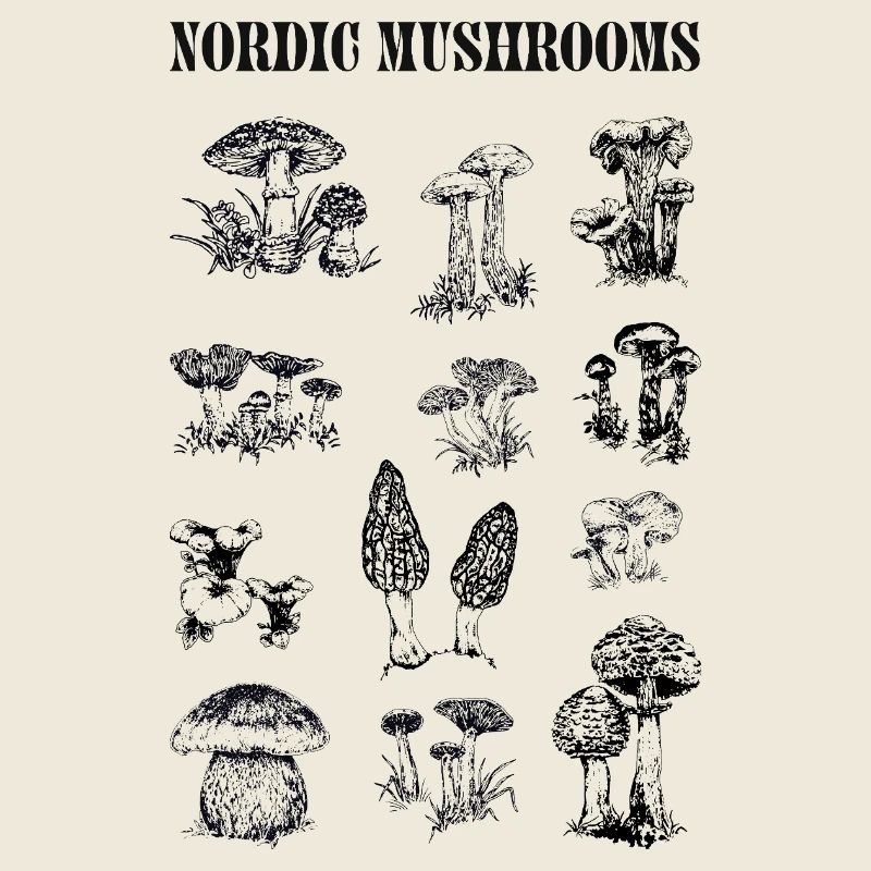 CHAMPIGNONS NORDIQUES