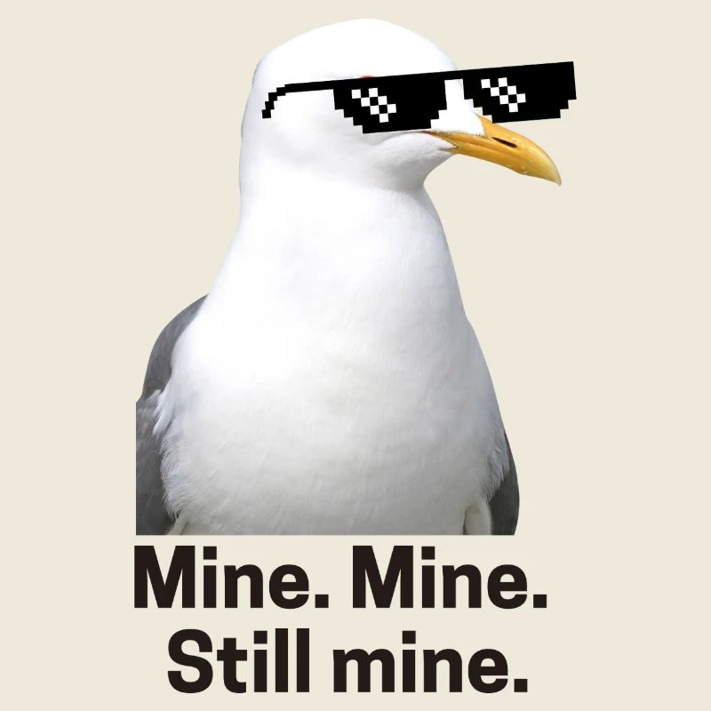 Mouette pixélisée avec lunettes de soleil Design