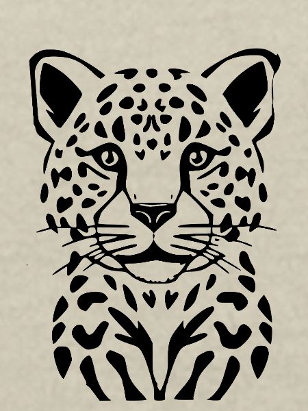 Leopard schwarz schwarzer Leopard