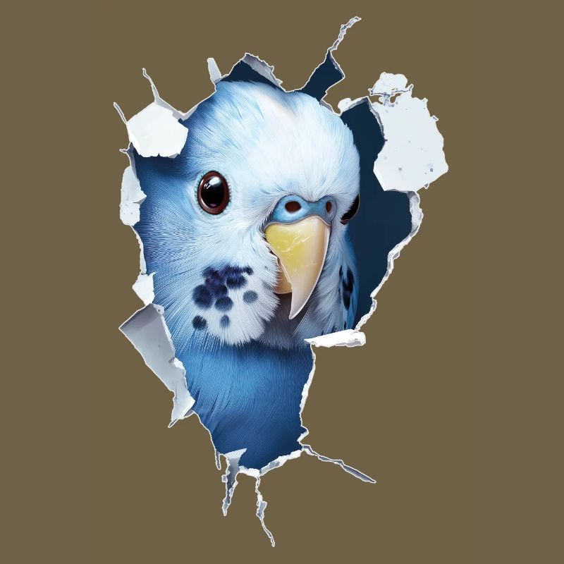 Budgerigar