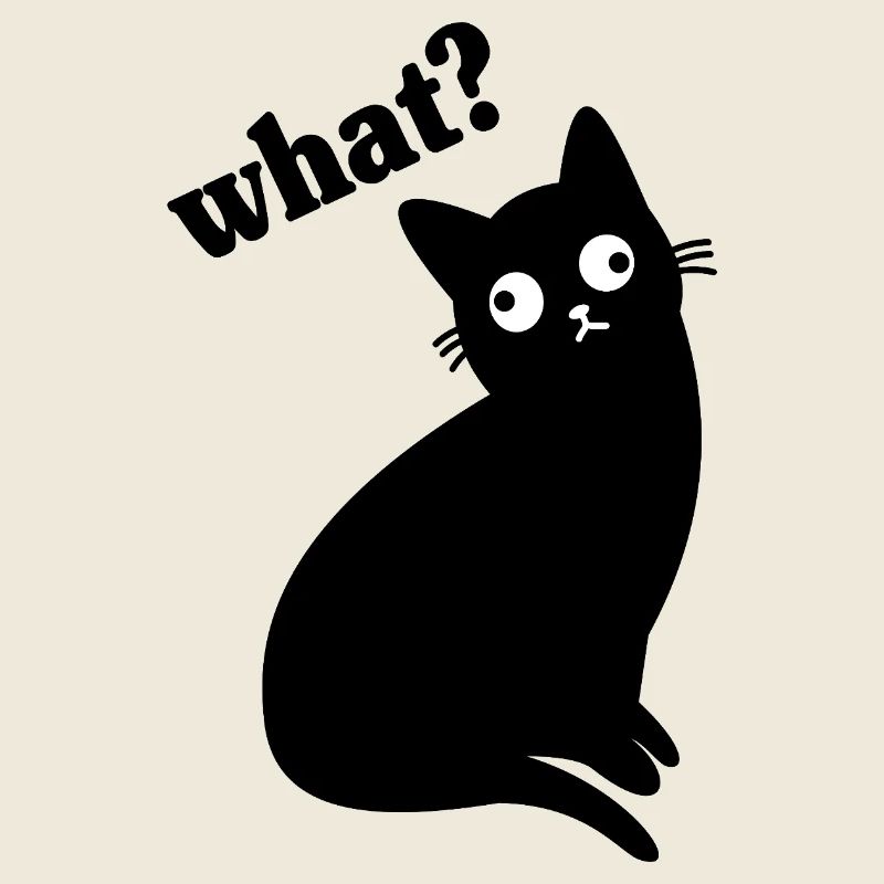 Lustige Schwarze Katze What 