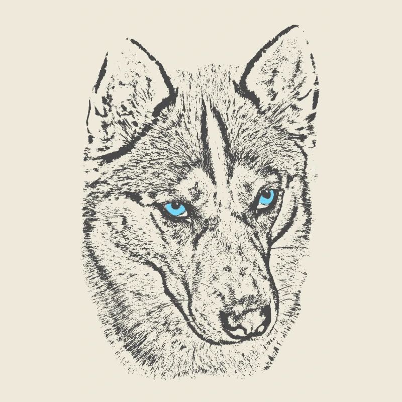 Loup du Nord aux yeux bleus