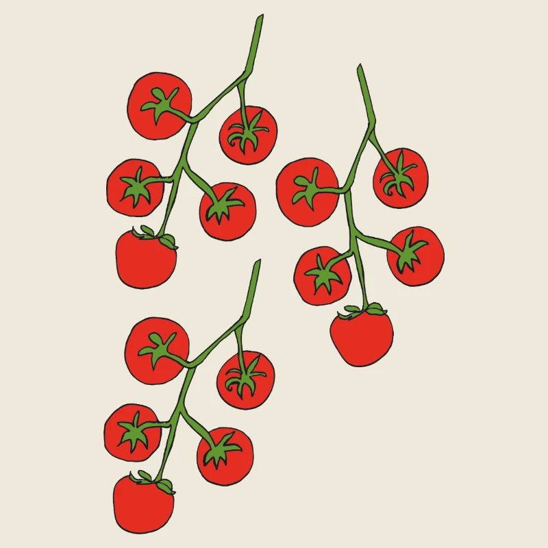 tomatenstrauch 3fach