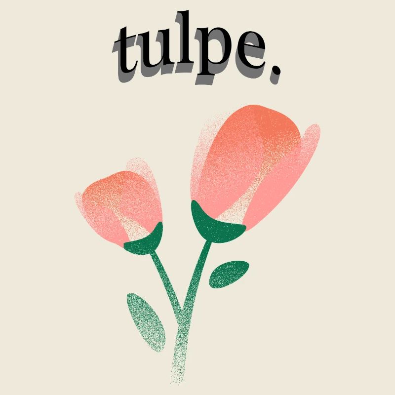 tulpe.