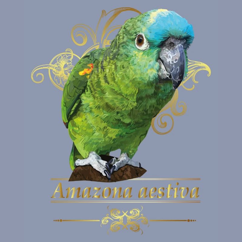 Amazone à front bleu