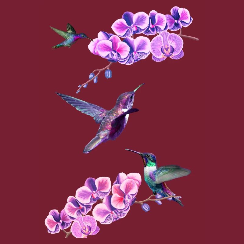 Hummingbirds flying between orchids