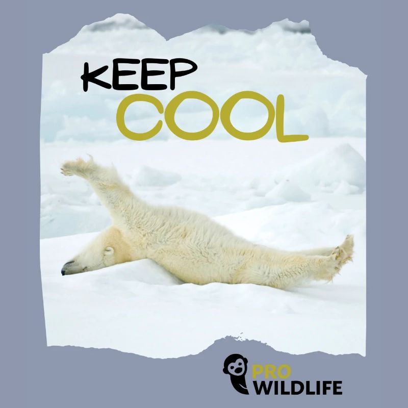 KEEP COOL Eisbär