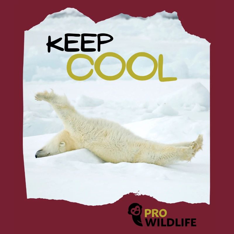 KEEP COOL Eisbär