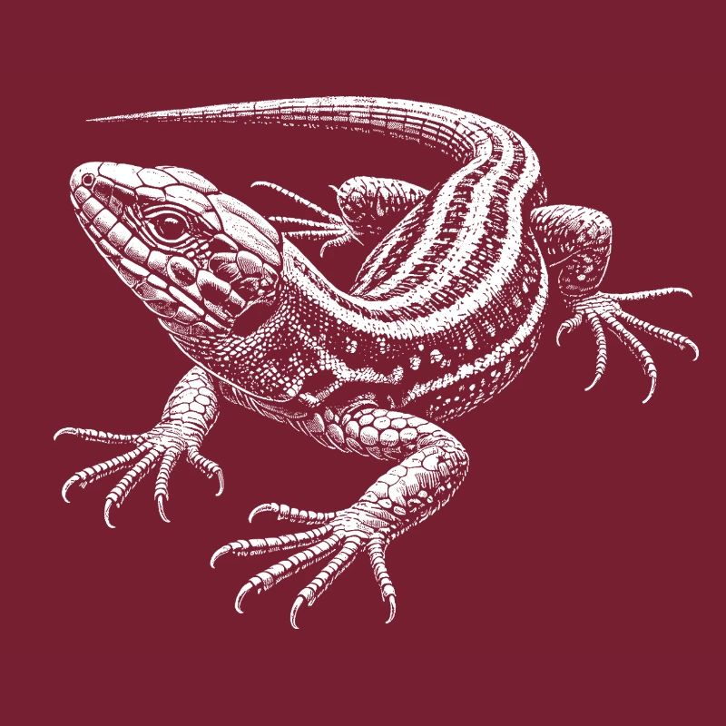 Wall lizard