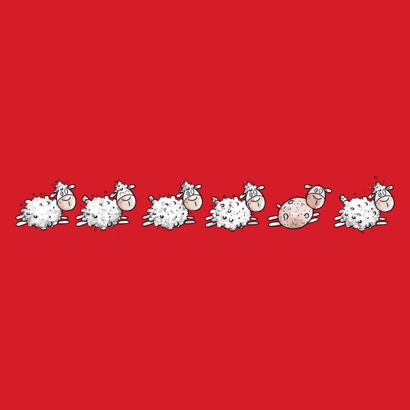 Sheep Flock and sheared sheep