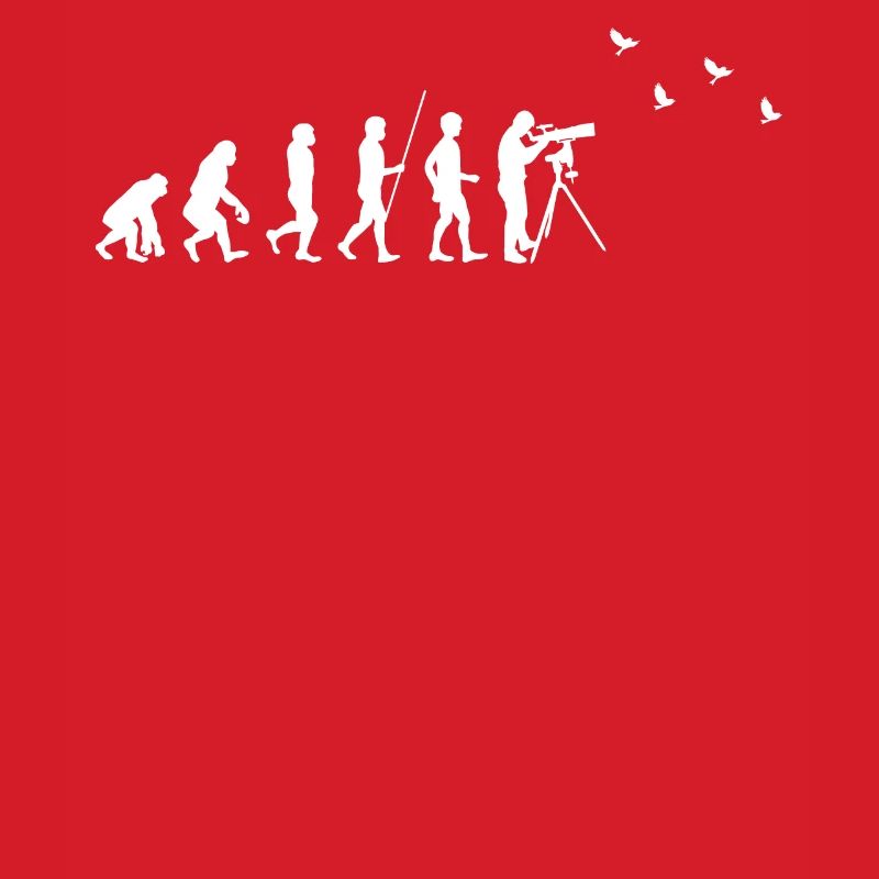 Observation des oiseaux - Observation des oiseaux - Evolution - fun