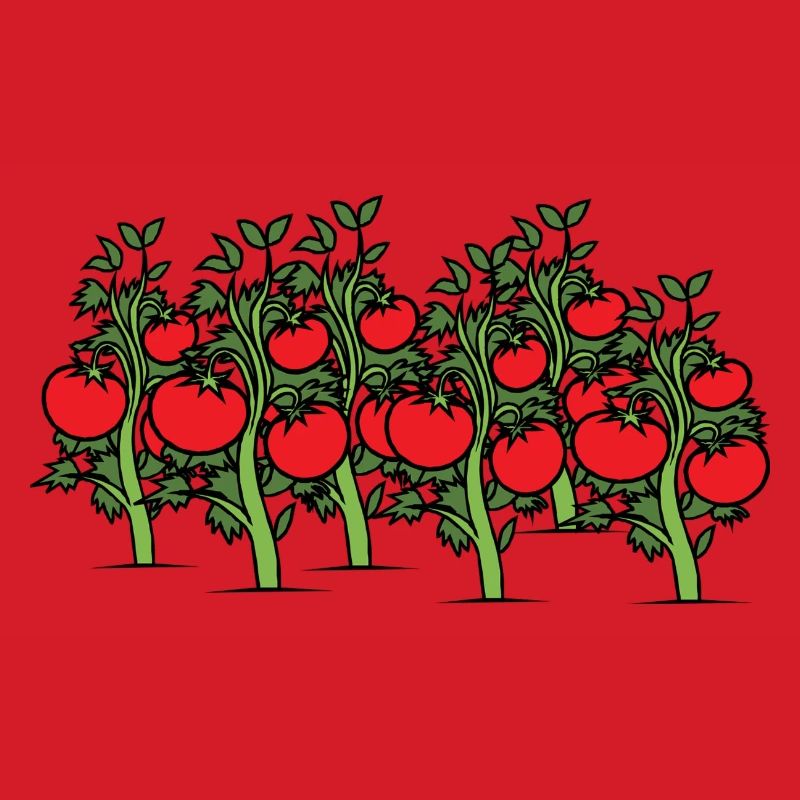 Des tomates sur l’arbuste. Idée de cadeau