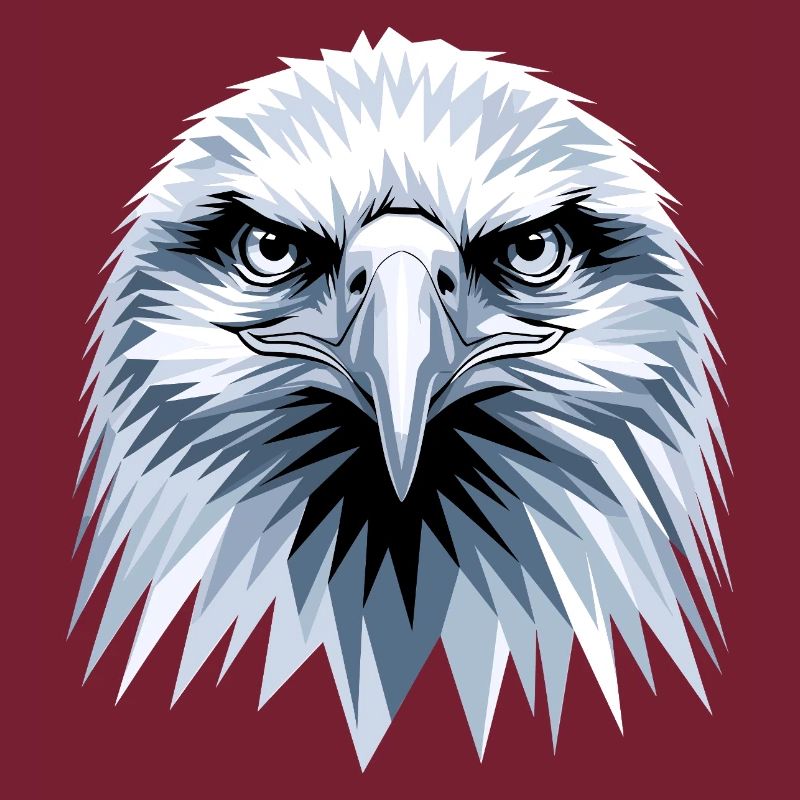 Eagle Bald Eagle Golden Eagle White-tailed Eagle