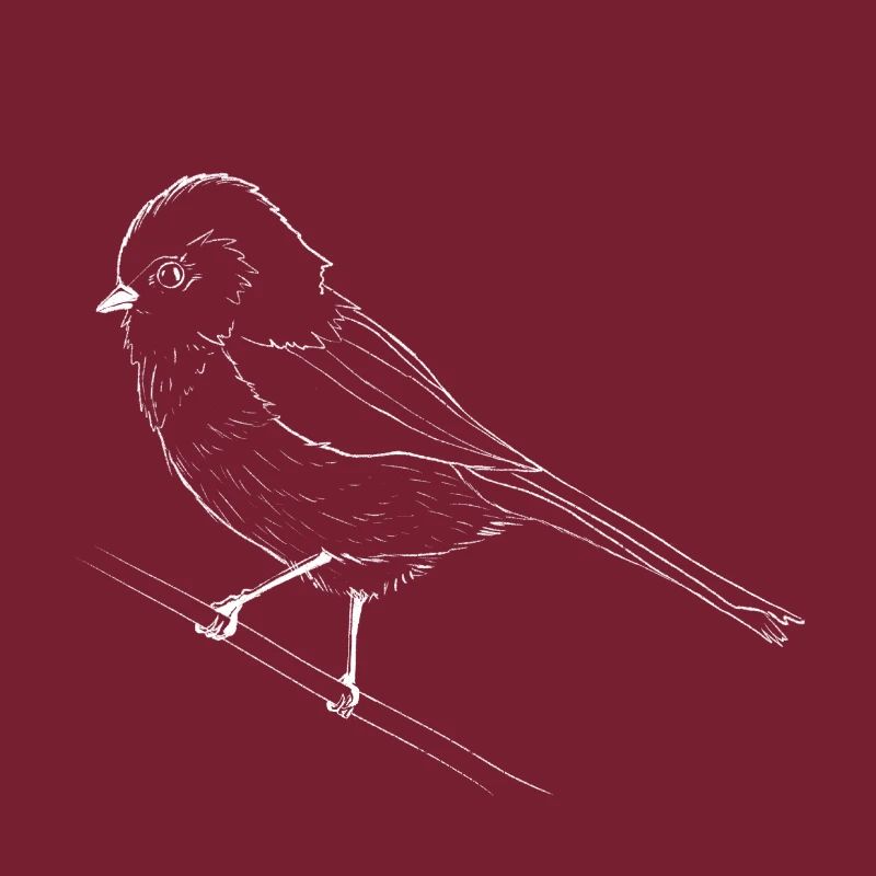 Small white bird