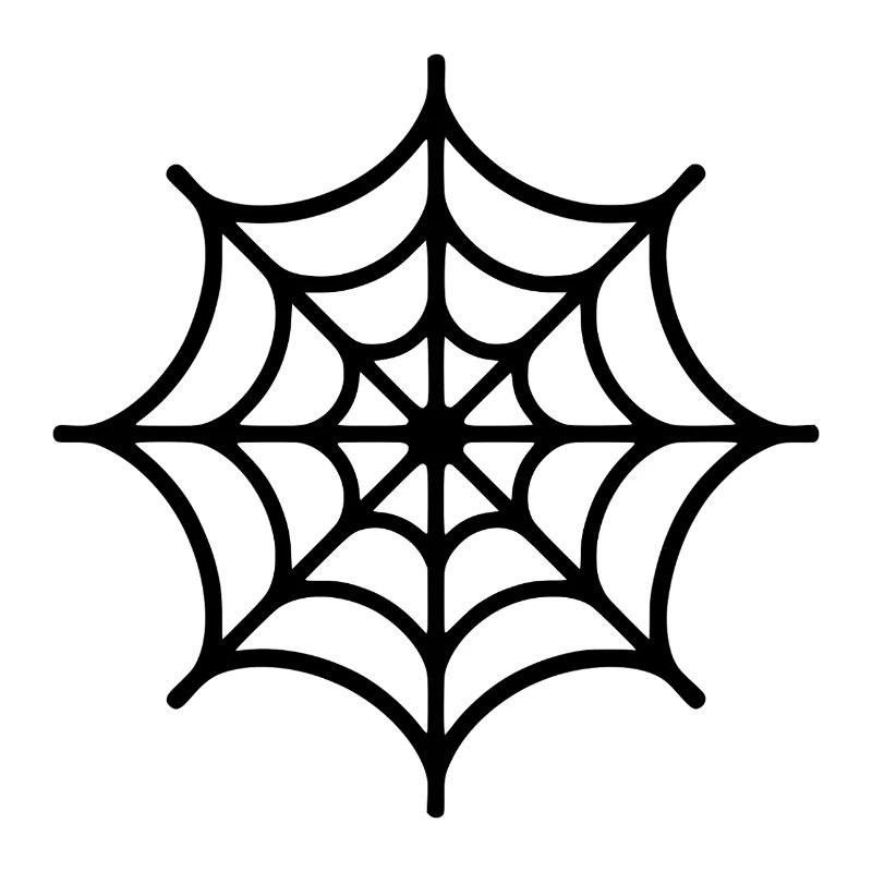Araignée Toile d’Araignée
