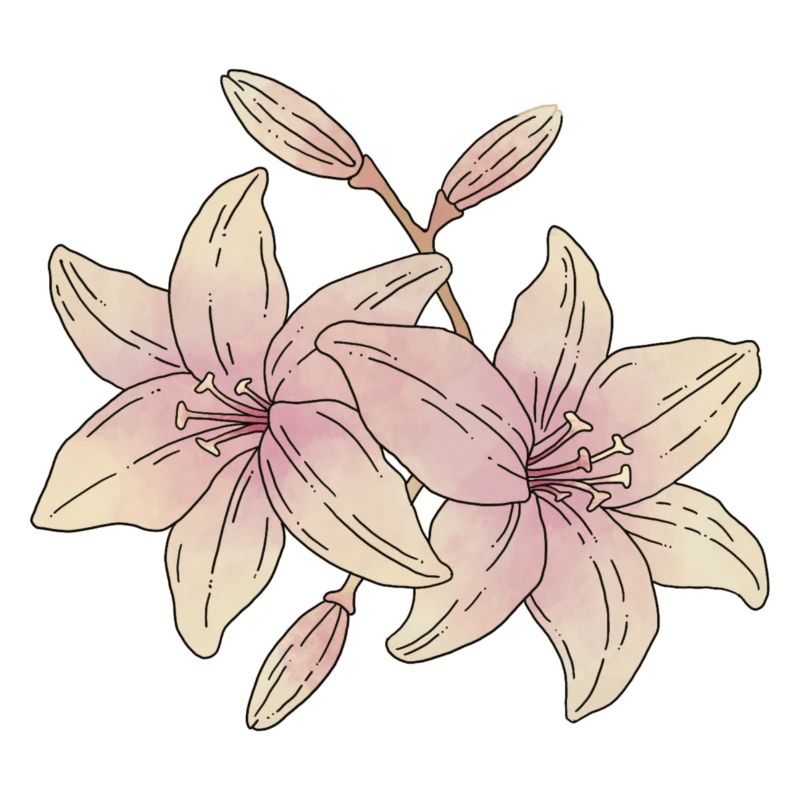 Fleurs de lys